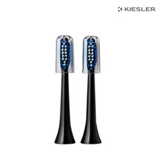 키슬러 칫솔모 2개입 C100 리필모, 2개, 키슬러 리필모 블랙