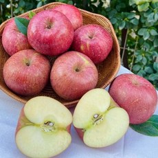 살림냥 사과 1kg 중소 과일선물세트