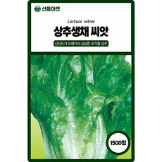 아시아종묘 생채 상추 씨앗 1500립 포기용 상추씨 쌈채소 종자, 2개