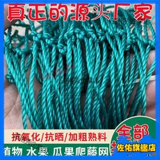 60股植物爬藤網 絲瓜苦瓜爬藤網 葡萄百香果爬藤網 攀爬網 藤蔓植物搭架網 養殖網 圍欄, 加粗60股網孔邊長10厘米,3米寬20米長送拉繩, 1個