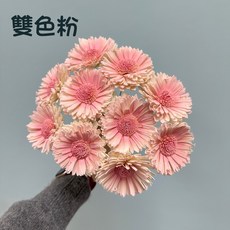 花藝夢 向日葵索拉 8公分 5支 高品質索拉擴香花 乾燥花 永生花 不凋花 畢業花束 向日葵 大朵向日葵, 雙色粉, 雙色粉