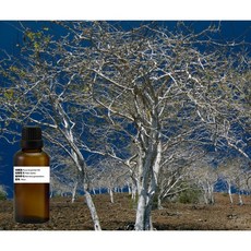 秘魯聖木 純精油 100% 純天然印加聖木 Palo Santo, 1個, 100ml