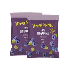 생활앤 냉동 블루베리(칠레) 1kg x 2팩, 2개