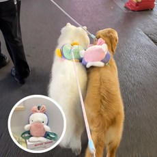 강아지 백팩 가방 대형견용 캐리어 오리 거북이 돌고래, 60kg 미만 대형견용, 133개, 돌고래 배낭