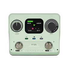 Generic 듀얼 페달 컨트롤 드럼 머신 루퍼 기타 이펙트 페달 스테레오 녹음 5시간 220 리듬 적용 장면: 일렉트릭 기타 이펙트 프로세서 (녹색), 1개