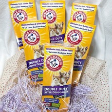 【喜花貓】 鐵鎚牌ARM & HAMMER 貓砂除臭粉850g*6入 箱購賣場, 5100g, 1箱