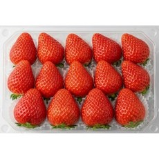 동명팜 상큼한입 논산 조이베리 딸기 특 500g, 20과 이내, 1