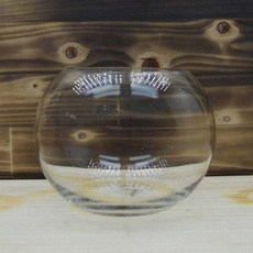 투명 실내 유리화병 거실 수경재배 인테리어소품 꽃병 10x11cm