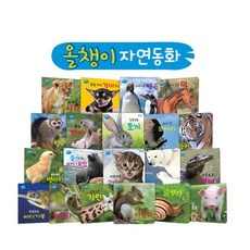 국내백화점 세이펜 핫딜마지막날특가_42 000원올챙이 자연동화(20권) / 자연동화책 호환책 돌 선물, 국내백화점 세이펜 핫딜마지막날특가_42,000원올챙이