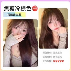 染髮膏 2024流行色 植物染髮劑 學生在家染髮, 焦糖冷棕 免漂顯白,330ml, 1個