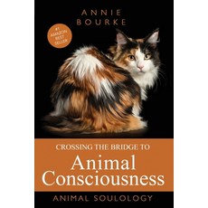 (영문도서)Crossing the Bridge to Animal Consciousness: Animal Soulology Paperback, Putting Words, English, 9781923197602