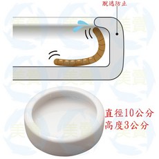 美賣 防逃食盤 陶瓷 食盤 M、食皿 陸龜 守宮 蜥蜴 箱龜 活餌 蜜袋鼯 麵包蟲, 1個