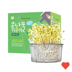 과학완구 콩나물 키우기 재배 세트
