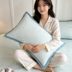 아리엘노 아이스쿨 냉감 베개커버 쿨링 베개커버 2P