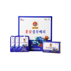 [금산인삼농협] 홍삼블루베리 [삼지원 공식브랜드 제품]