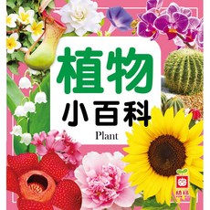 幼福文化 植物小百科 正方形小百科