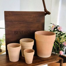 실내원예 가드닝 살구색 화분 베란다 홈가드닝 토분