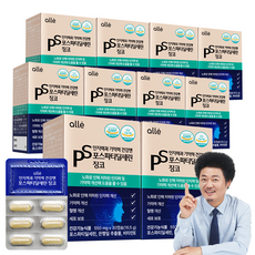 포스파티딜세린 식약청인증 징코 기억력 인지력 개선 알레, 30정, 10박스