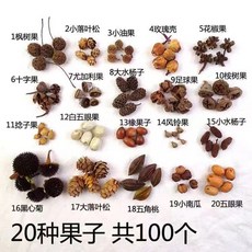 混装手工DIY材料包 天然植物干花 森系环创装饰 松果, 20種100個指定款