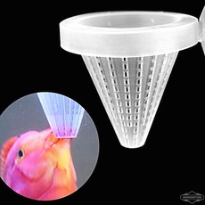 물고기 생먹이 피딩컵 급여 움직이는 실지렁이, 생먹이피딩컵