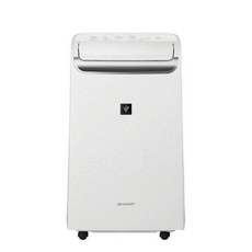 SHARP 夏普12公升除濕機 DW-WA12FT-S