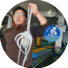 국내산 뻘낙지 (장흥) 뻘낙지 산낙지, 3개, 소낙지(50-70g)