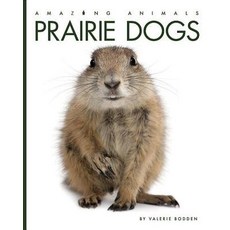 Prairie Dogs Paperback, Creative Paperbacks, English, 9781628326277
