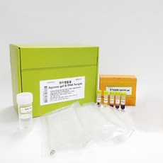 전문연구실용 유전자 분석 아가로스겔 전기영동 재료 패키지 생물학 교과 연계 탐구 학습 도구, 1개