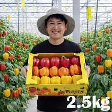 [타임특가 15% 할인] 산지 직송 신선하고 아삭한 맛! 고당도 파프리카, 1박스, 파프리카(색상랜덤) 2.5kg