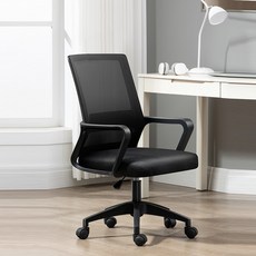 브리스 사무용 컴퓨터 의자 고정 헤드 요추 보호 메쉬의자, 노멀형, 블랙