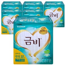 금비 남녀공용 와이드 매직벨트 성인기저귀, 10개입, 6개