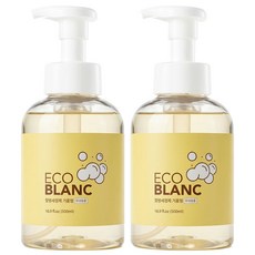 에코블랑 젖병세정제 거품형 무향, 2개, 500ml