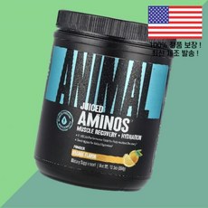 동물성 주스 아미노 아미노산 파우더 가루 분말 오렌지 13.5온스 384g Animal Juiced Aminos Powder Orange 13.5oz, 1