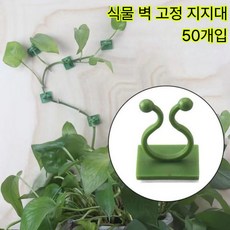 식물고정 지지대 넝쿨 식물 고정끈 화분 화초 나뭇가지 나뭇잎 원예용 벽고정걸이 벽 고정 후크 홀더 선 작물 케이블 정리 캡, 50개, 녹색