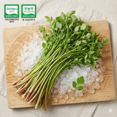 [청도직송] 청정 암반수 재배 청도 한재 미나리, 1개, 1kg
