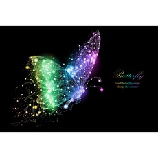 코나 주방아트보드 가스렌지 인덕션 가드 가림막 기름튐방지 나비의꿈(레인보우), 1개