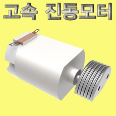 고속 진동모터, 1개