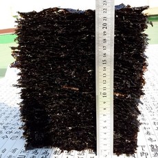 완도맛자랑 지주식 곱창김 100장 햇김 생곱창김 지퍼백 간편포장 무염산 무첨가 잇바디 곱창원초, 명품특곱창김100장, 1개