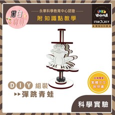 繁中全彩說明書 DIY 彈跳青蛙 X38 木製科學玩具 科學實驗 STEAM 青蛙 磁鐵玩具 益智玩具, 1個, 買就送顏料乙份