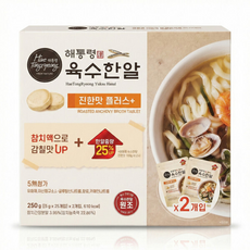 해통령 국물내기 육수한알 진한맛 플러스 빅마마 동전 코인 육수, 50개, 5g