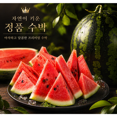 [노마진 초특가] 산지직송 꿀즙가득 수박, 1박스, 3kg내외