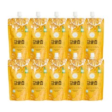 아이보리 맛있는 철학자가 짜낸 감귤즙, 10개, 150ml