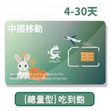 Pigwifi 中國移動SIM卡 4-30天流量上網卡, 10GB,30天