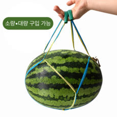 [당일배송] 수박끈 손잡이 있음 10kg 대형, 20개, 손잡이(O)