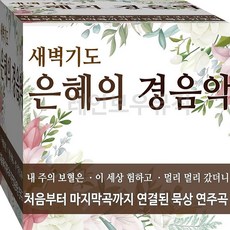 CD 2장 음반 찬양 복음 은혜 힐링 새벽기도 경음악 배주의보혈은 이세상험하고 CD2 연주 음반