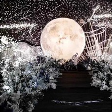 대형 달조명 스튜디오 LED 정원 조형물 보름달 램프, 1개, 지름 1.2m 따뜻한 빛 달