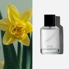 미오브미 수선화 니치 향수 오드퍼퓸, 1개, 50ml 1개, 50ml
