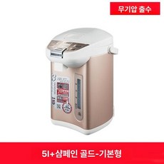 대용량 전기 포트 주전자 보온 물끓이는 전원 가정용, 5L 샴페인골드 스탠다드 에디션, 기본 색상