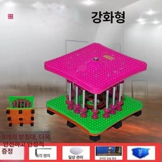 에스앤씨 트위스트운동기구 허리 복근 스트레칭, 1개, 안전 27개 패널 받침대 9개 80.0kg
