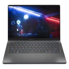 에이수스 2024 ROG 제피러스 G14 라이젠7 라이젠 8000 시리즈 지포스 RTX 4050, Eclipse Gray, 2TB, 16GB, Free DOS, GA403UU-QS073_2T